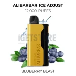 Alibarbar Ice Adjust 12000 Puffs - Bluberry Blast