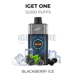 iget one 12000 puffs blackberry ice