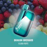Bulubulu 15000 Puffs - Dragon'S Orchard